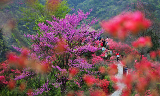 人在畫(huà)中游